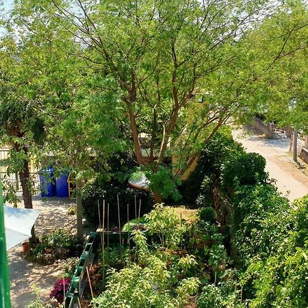 Apartmani Paron Sime سيلين المظهر الخارجي الصورة